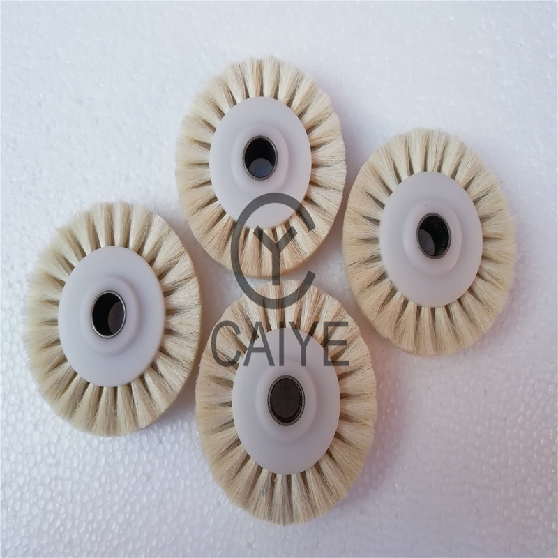 5Pieces 60x10x16mm Brush Wheel - огляд і ціна Commercial Offset Printing